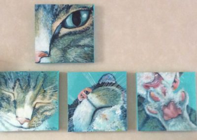 Kat 1,2,3,4, vierluik, acryl op doek, 30:30 cm: 325€