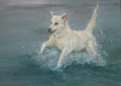 Hond in zee, 2017, acryl op doek, 50:50 cm: verkocht