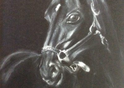 Paard, 2018, wit conte krijt op zwart papier, 20:30 cm, 25€
