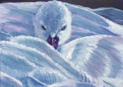 Jonge zwaan 2/2 2017, acryl op doek, 30:20 drieluik