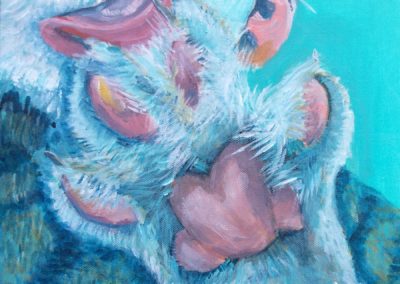 Kat 2/4, 2015, acryl op doek, 30:30 cm, vierluik
