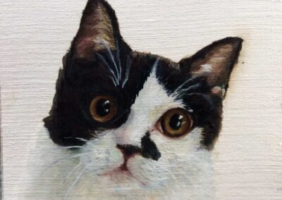 kat, 2019, olieverf op papier, 11:11 cm, in opdracht