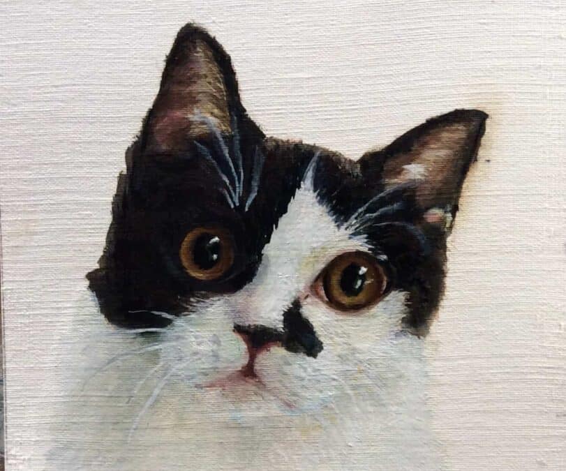 kat, 2019, olieverf op papier, 11:11 cm, in opdracht
