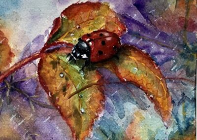 Seizoenen, herfst, Aquarel Mix, 20:20 cm. ingelijst 40:40 2024, verkocht